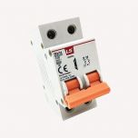 BKN-b-2P-06A cầu dao tự động LS