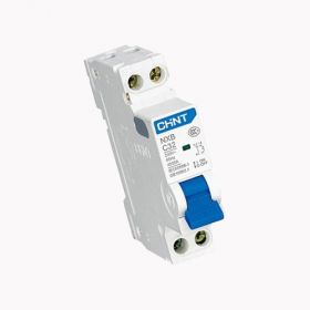 NXB1-100 cầu dao tự động Chint