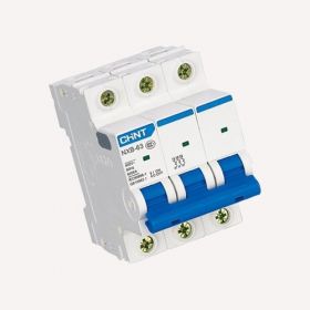 NXB3-100 cầu dao tự động Chint