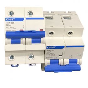 NXB-125G 2P B100A cầu dao tự động Chint