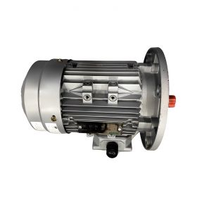 Động cơ điện 3 pha SGP 200L-4-30kW-B3 công suất 30kW