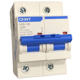 NXB-125G 2P B100A cầu dao tự động Chint